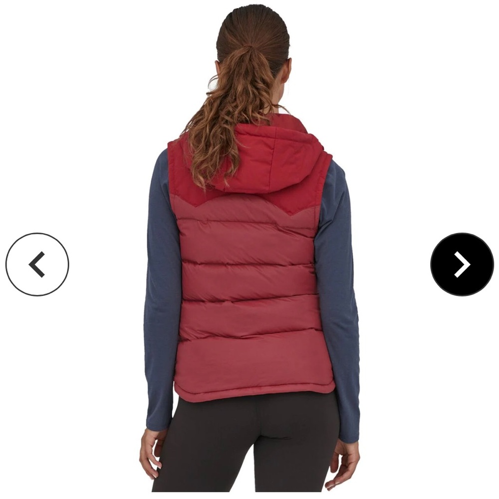 Patagonia Bivy hooded vest NWT - Picture 3 of 4